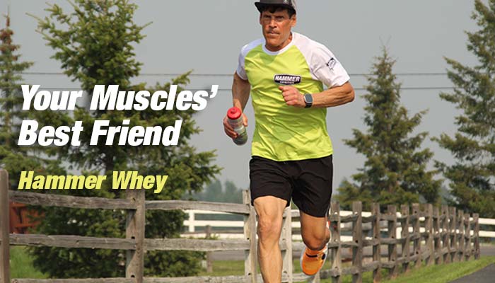 What Protein is the Best?