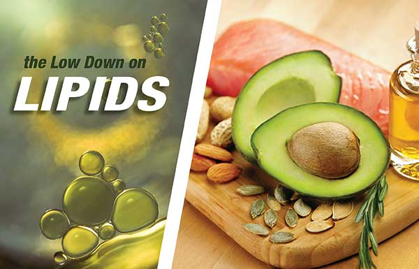 Lipids. A Different Perspective