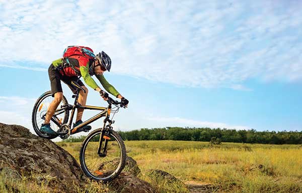 Supplement Protocol For Your Bones