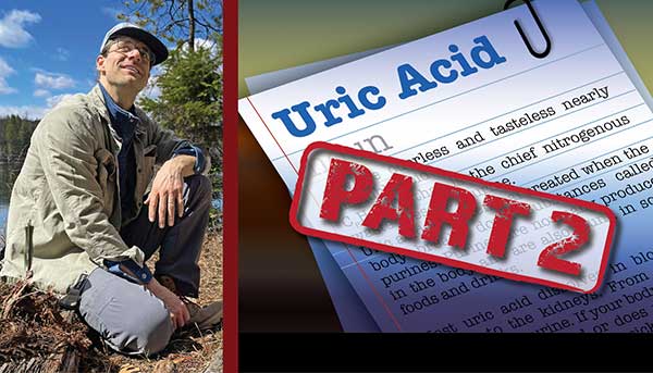 Uric Acid and Its Metabolic Effects, Part 2