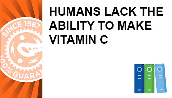 Humans Lack the Ability to Make Vitamin C