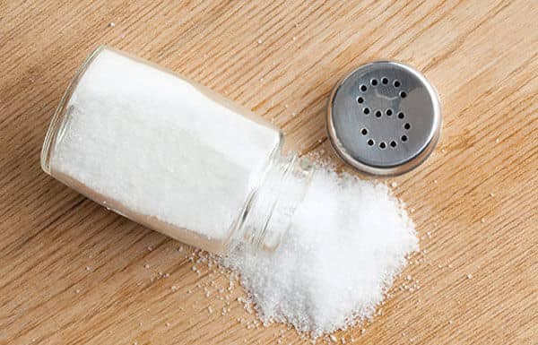salt-shaker