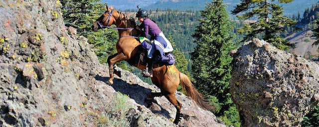 Image - Recommendations for Equestrian Competitions - Ride & Tie, Tevis cup etc