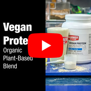 Organic Vegan Protein