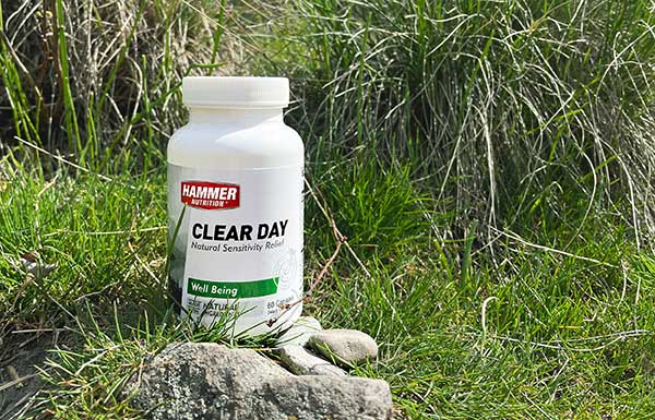 CLEAR DAY