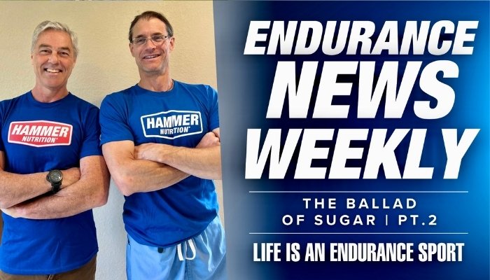 Ballard of sugar part 2