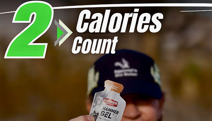 2. Calories Count