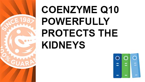 Coenzyme Q10 Powerfully Protects the Kidneys