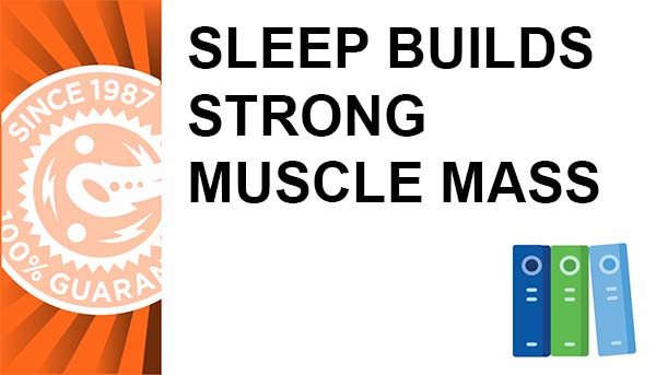 Sleep Builds Strong Muscle Mass
