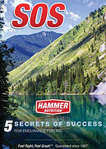 5 Secrets of Success