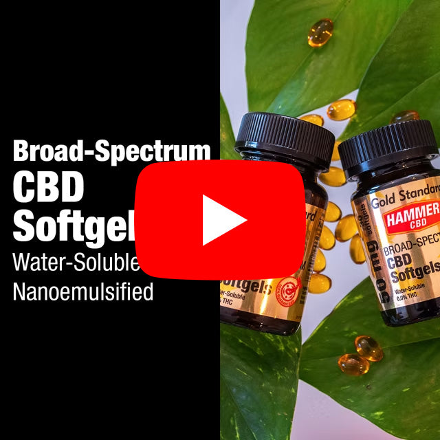 Hammer CBD Softgels BroadSpectrum, THCFree & Hammer Nutrition